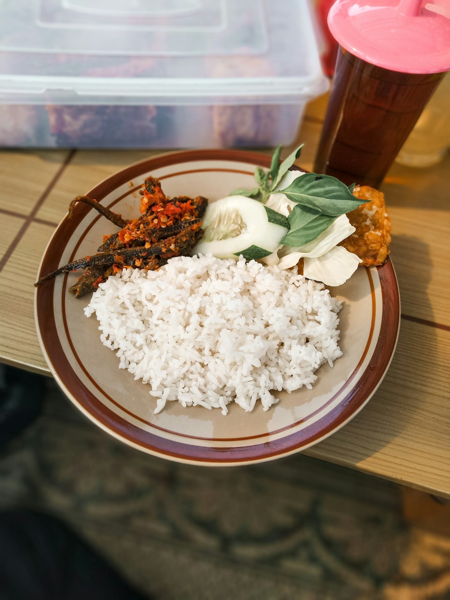 Descubre los Grupos Musicales del Festival